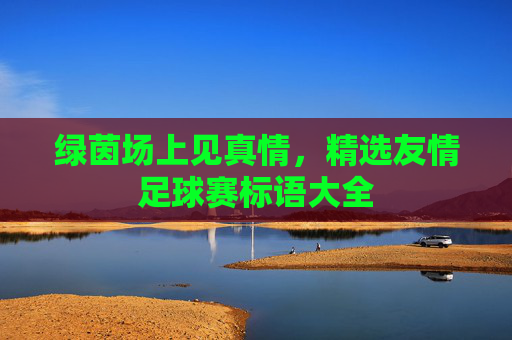 绿茵场上见真情,精选友情足球赛标语大全
