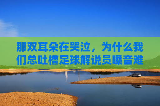 那双耳朵在哭泣，为什么我们总吐槽足球解说员嗓音难听？