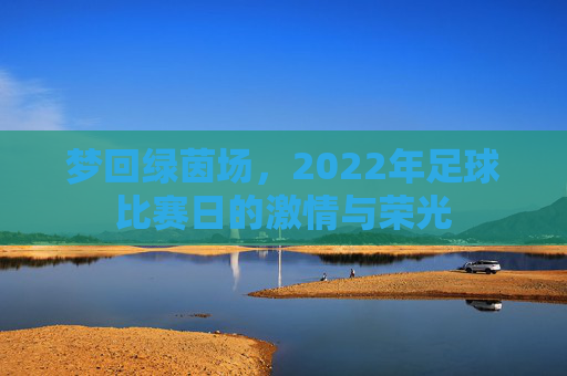 梦回绿茵场,2022年足球比赛日的激情与荣光
