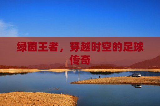 绿茵王者，穿越时空的足球传奇