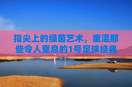 指尖上的绿茵艺术，重温那些令人窒息的1号足球经典动作视频