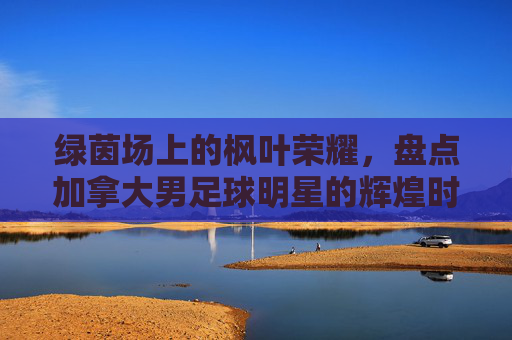 绿茵场上的枫叶荣耀，盘点加拿大男足球明星的辉煌时刻