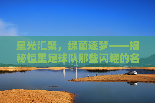 星光汇聚,绿茵逐梦——揭秘恒星足球队那些闪耀的名字