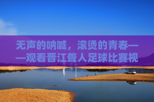 无声的呐喊，滚烫的青春——观看晋江聋人足球比赛视频有感