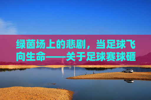 绿茵场上的悲剧，当足球飞向生命——关于足球赛球砸死观众事件的反思