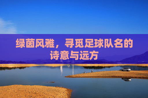 绿茵风雅,寻觅足球队名的诗意与远方