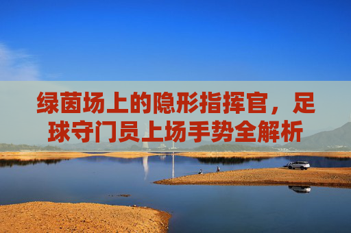 绿茵场上的隐形指挥官,足球守门员上场手势全解析