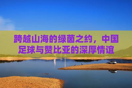 跨越山海的绿茵之约，中国足球与赞比亚的深厚情谊