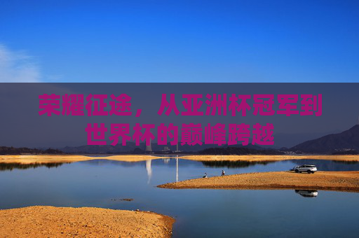 荣耀征途,从亚洲杯冠军到世界杯的巅峰跨越