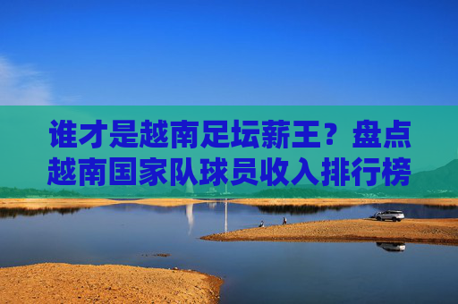 谁才是越南足坛薪王?盘点越南国家队球员收入排行榜