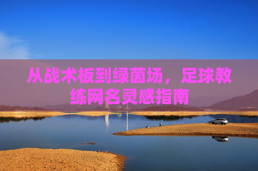从战术板到绿茵场,足球教练网名灵感指南