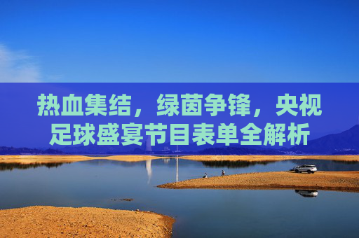 热血集结,绿茵争锋,央视足球盛宴节目表单全解析