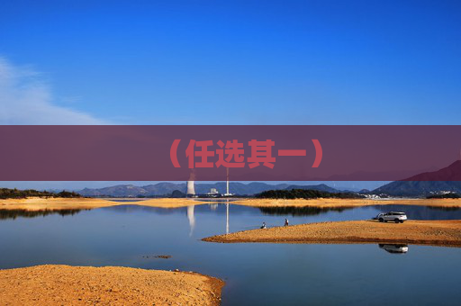 (任选其一)