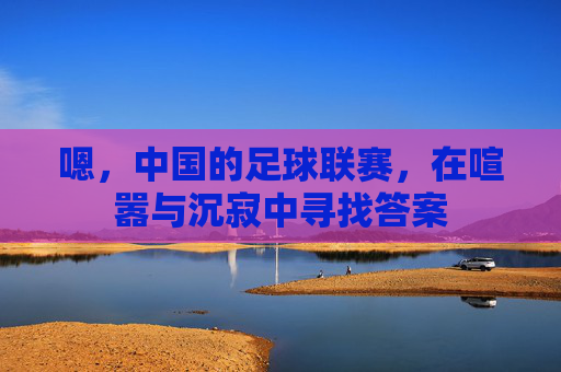 嗯,中国的足球联赛,在喧嚣与沉寂中寻找答案