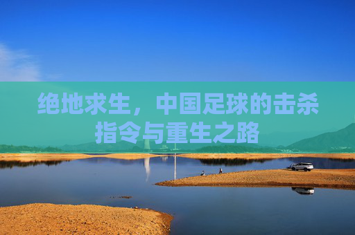 绝地求生,中国足球的击杀指令与重生之路
