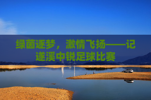 绿茵逐梦,激情飞扬——记遂溪中锐足球比赛