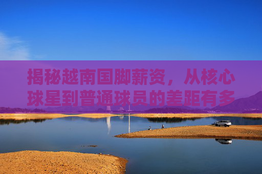 揭秘越南国脚薪资,从核心球星到普通球员的差距有多大?