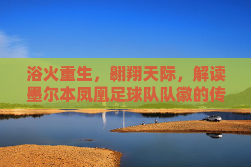 浴火重生，翱翔天际，解读墨尔本凤凰足球队队徽的传奇与象征