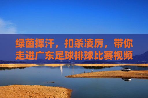 绿茵挥汗,扣杀凌厉,带你走进广东足球排球比赛视频的激情世界