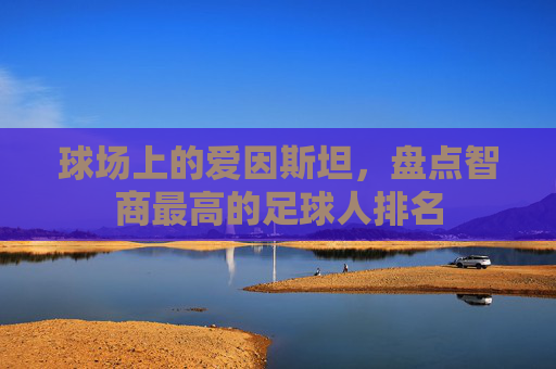 球场上的爱因斯坦,盘点智商最高的足球人排名