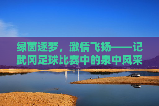 绿茵逐梦,激情飞扬——记武冈足球比赛中的泉中风采