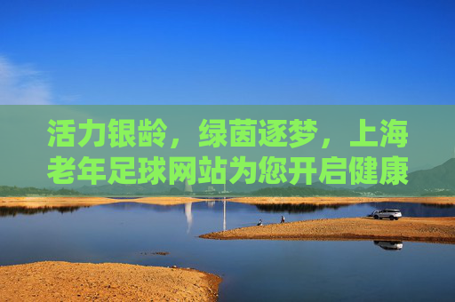活力银龄,绿茵逐梦,上海老年足球网站为您开启健康晚年新篇章