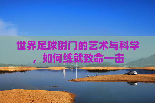 世界足球射门的艺术与科学,如何练就致命一击