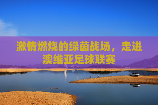 激情燃烧的绿茵战场,走进澳维亚足球联赛