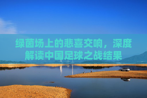 绿茵场上的悲喜交响,深度解读中国足球之战结果