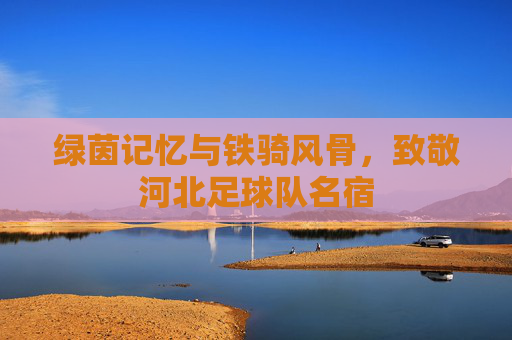 绿茵记忆与铁骑风骨,致敬河北足球队名宿