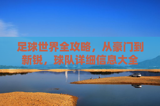 足球世界全攻略,从豪门到新锐,球队详细信息大全