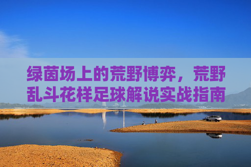 绿茵场上的荒野博弈,荒野乱斗花样足球解说实战指南