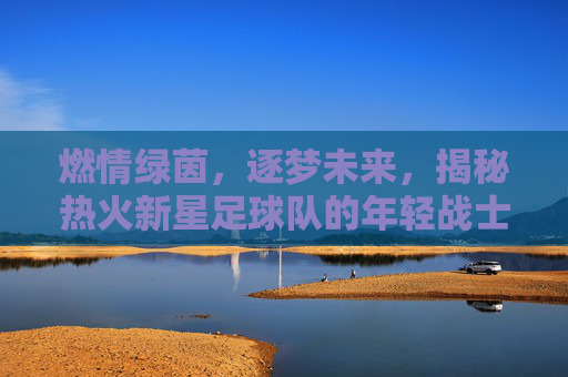 燃情绿茵,逐梦未来,揭秘热火新星足球队的年轻战士们