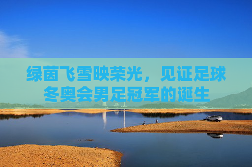 绿茵飞雪映荣光,见证足球冬奥会男足冠军的诞生