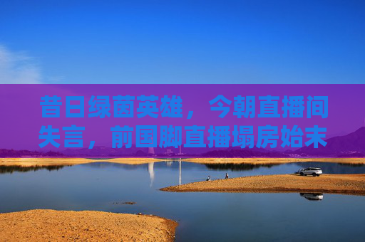 昔日绿茵英雄,今朝直播间失言,前国脚直播塌房始末
