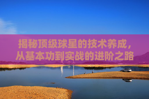 揭秘顶级球星的技术养成,从基本功到实战的进阶之路