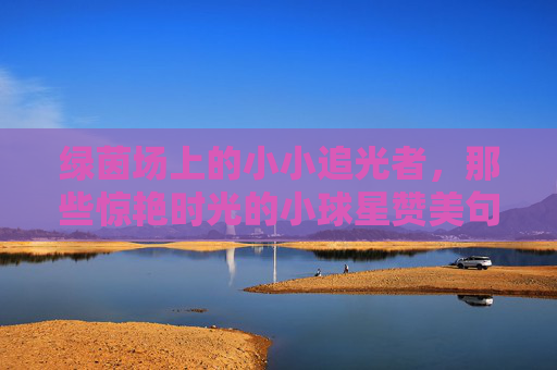 绿茵场上的小小追光者,那些惊艳时光的小球星赞美句