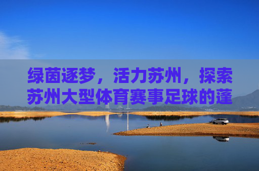 绿茵逐梦,活力苏州,探索苏州大型体育赛事足球的蓬勃生机