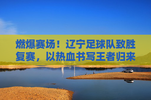 燃爆赛场!辽宁足球队致胜复赛,以热血书写王者归来