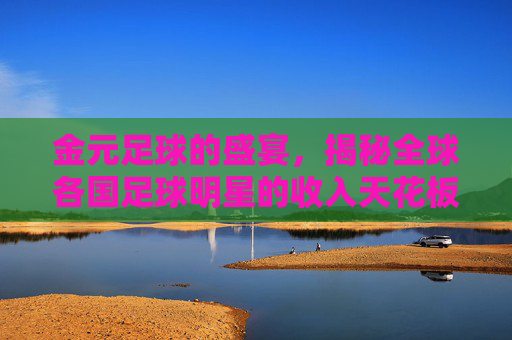金元足球的盛宴,揭秘全球各国足球明星的收入天花板