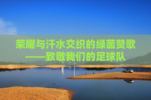荣耀与汗水交织的绿茵赞歌——致敬我们的足球队