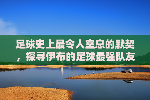 足球史上最令人窒息的默契,探寻伊布的足球最强队友