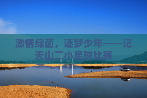 激情绿茵,逐梦少年——记天山二小足球比赛