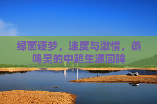 绿茵逐梦,速度与激情,燕鸣昊的中超生涯回眸