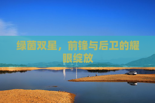 绿茵双星,前锋与后卫的耀眼绽放