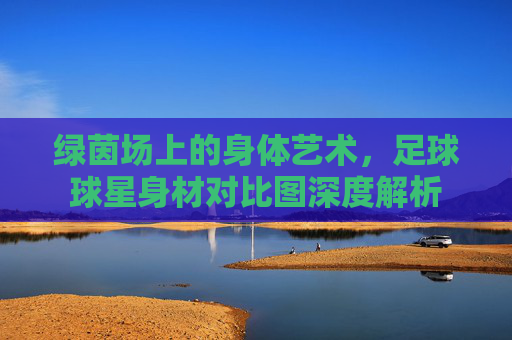 绿茵场上的身体艺术，足球球星身材对比图深度解析