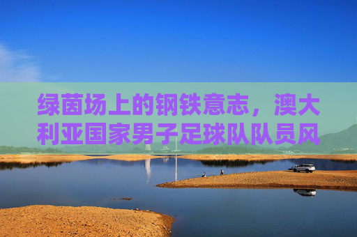 绿茵场上的钢铁意志，澳大利亚国家男子足球队队员风采