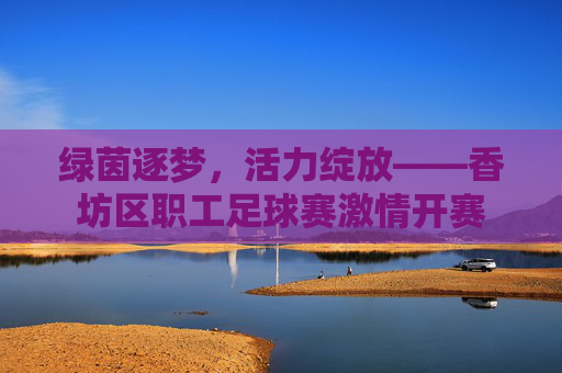 绿茵逐梦,活力绽放——香坊区职工足球赛激情开赛