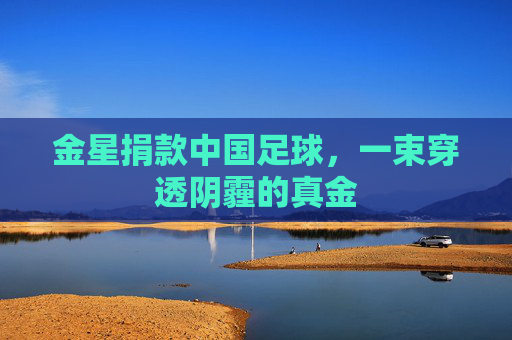 金星捐款中国足球,一束穿透阴霾的真金
