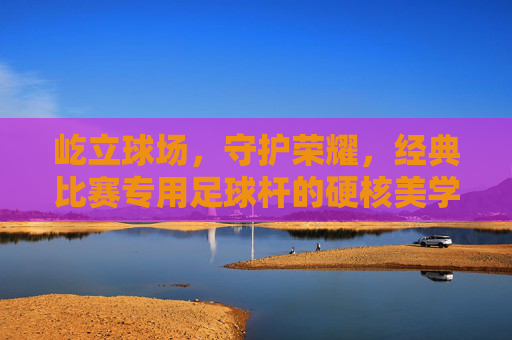 屹立球场,守护荣耀,经典比赛专用足球杆的硬核美学